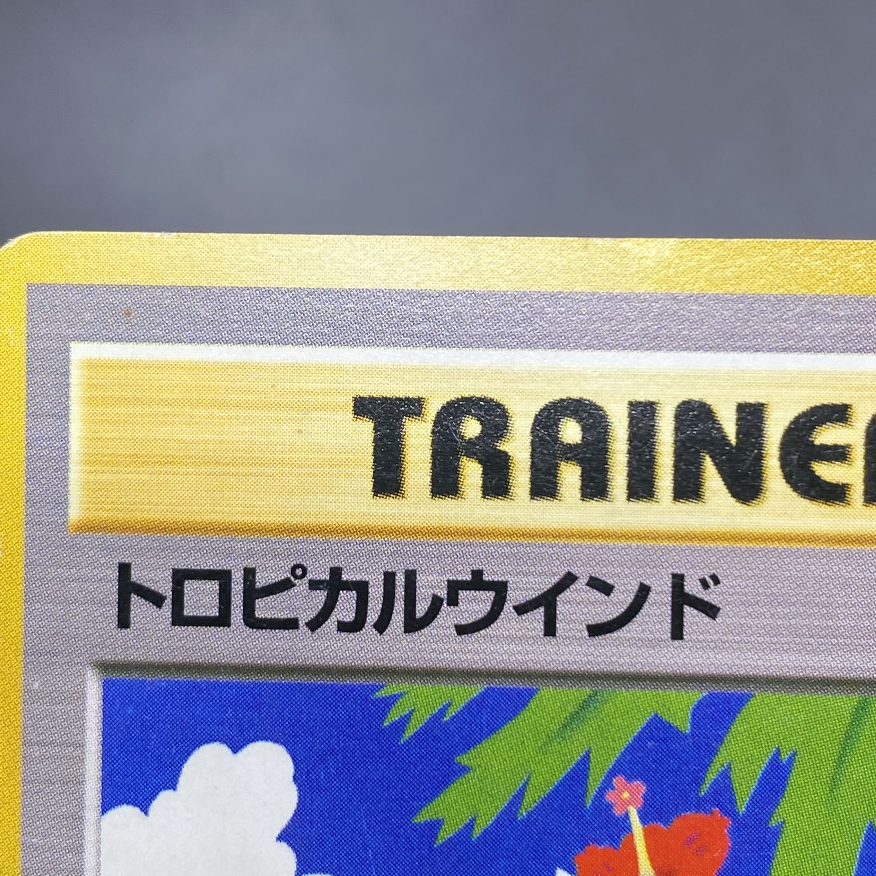 Tropical Wind Challenge Road '99 "Tropical Mega Battle" Participation Commemorative Card 1枚