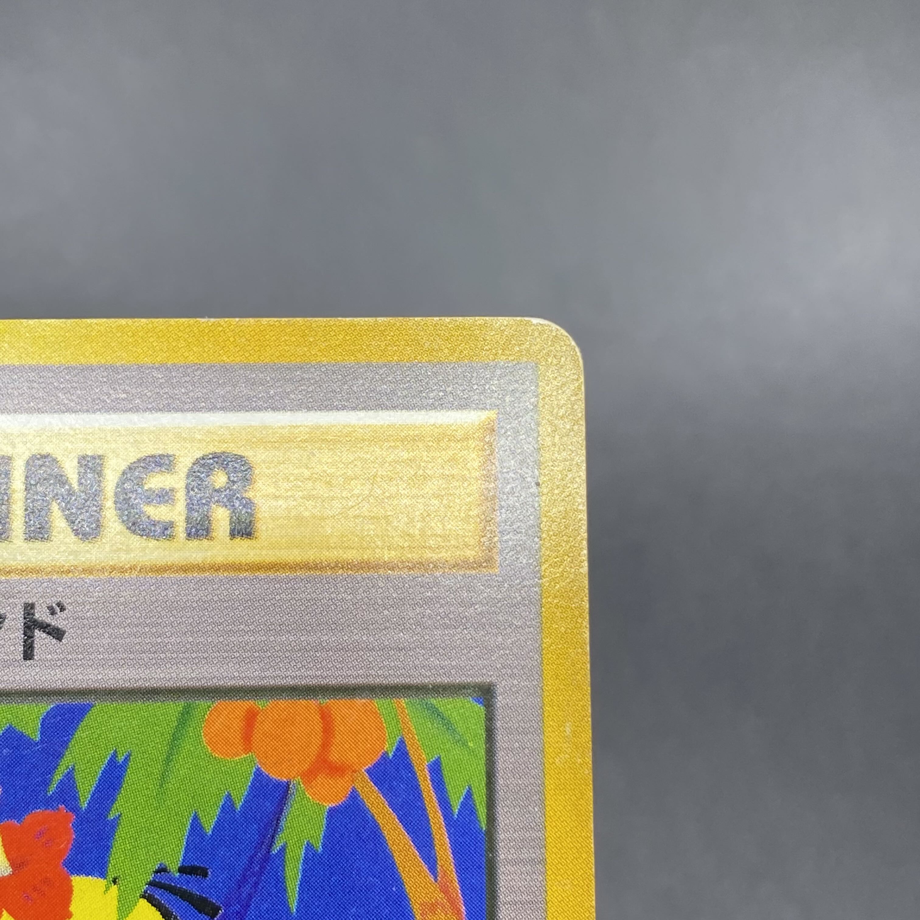 Tropical Wind Challenge Road '99 "Tropical Mega Battle" Participation Commemorative Card 1枚