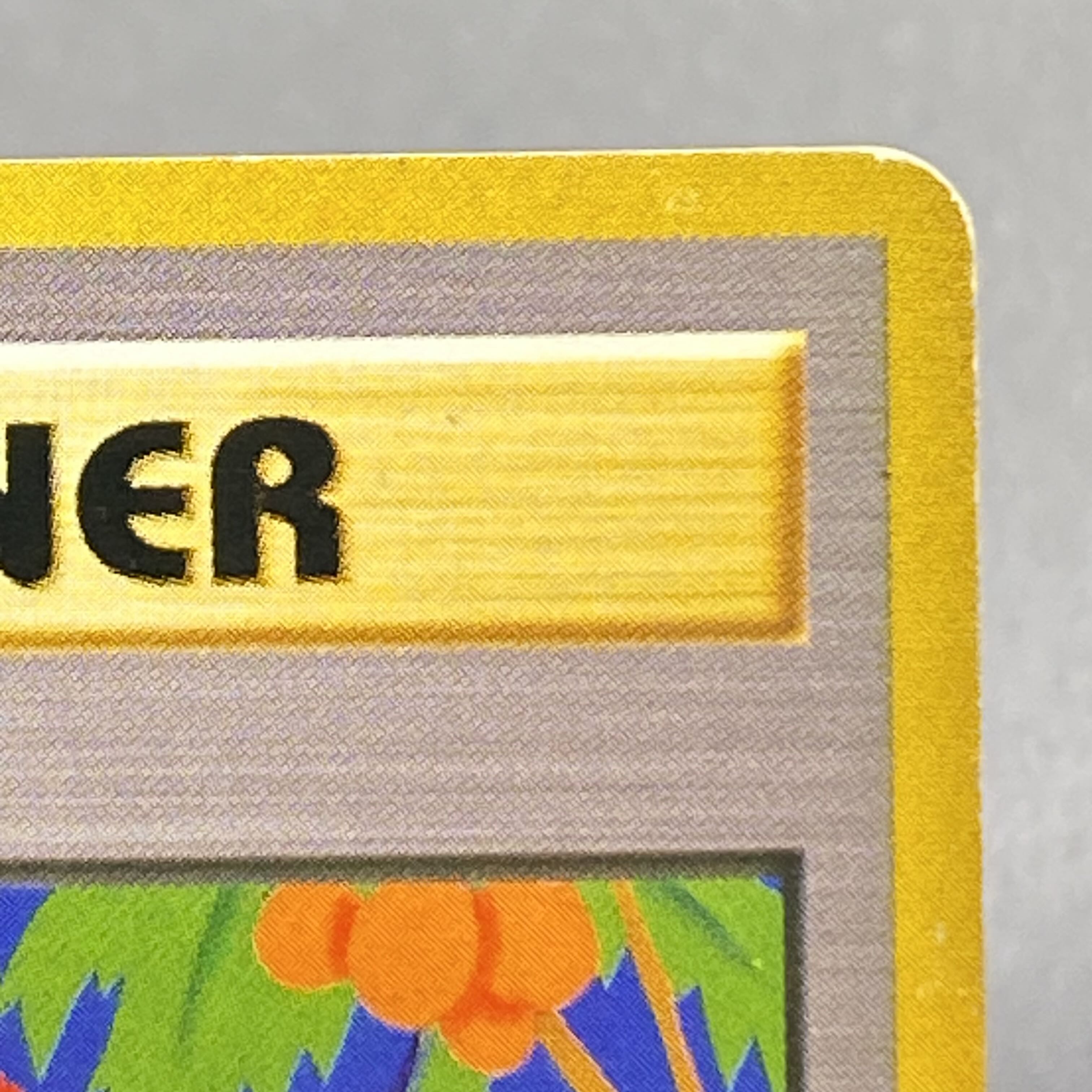 Tropical Wind Challenge Road '99 "Tropical Mega Battle" Participation Commemorative Card 1枚