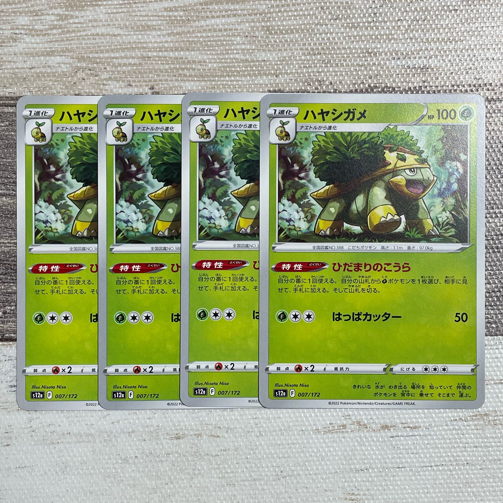 ハヤシガメ 007/172