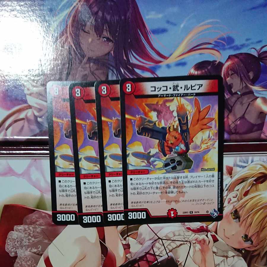 Cocco Bu Lupia R 19/74