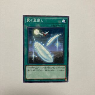 翼の恩返し ノーマル JP016