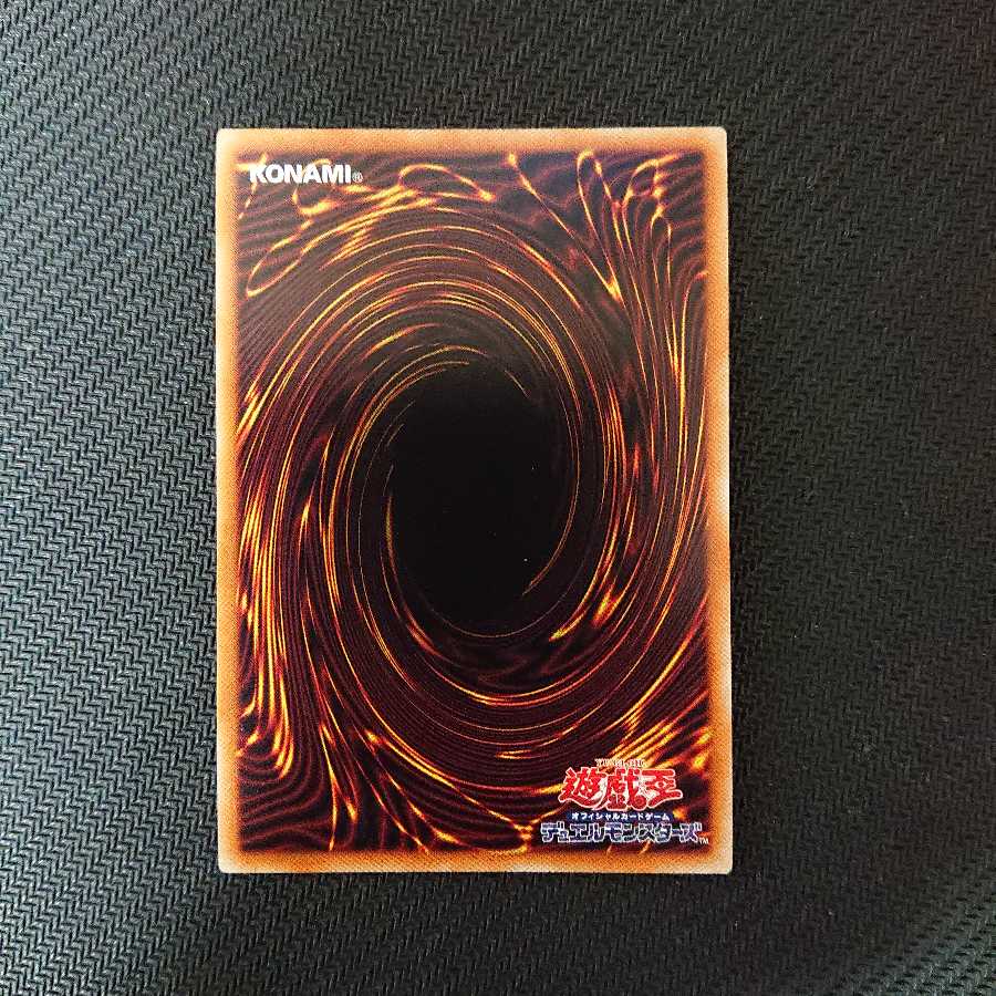 ダイナレスラー・パンクラトプス