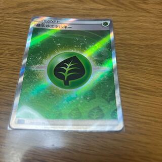 基本草エネルギー SR 251/172