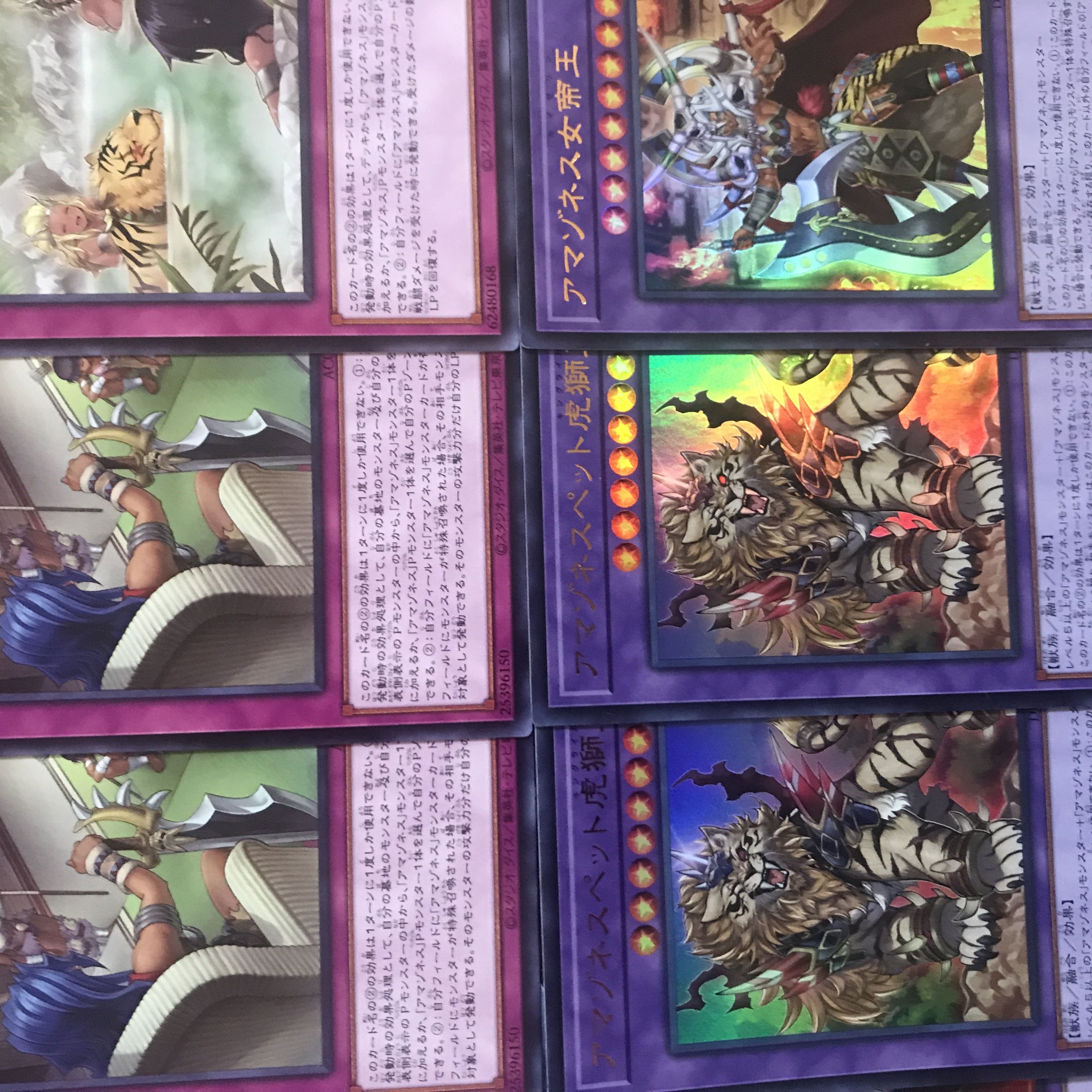 遊戯王【新規入り構築!!】アマゾネスデッキ40枚