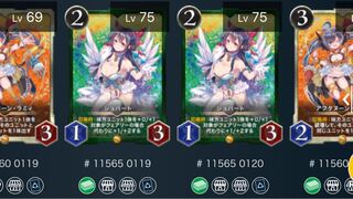 ショパート 2枚