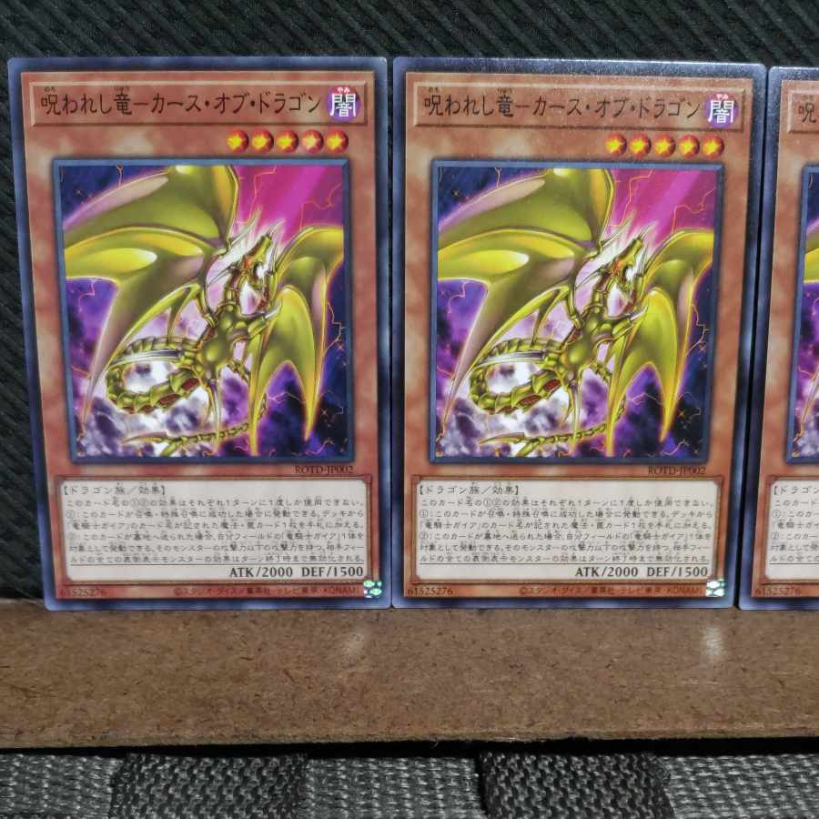 【ぽぽたん】遊戯王 131 呪われし竜-カース・オブ・ドラゴン ノーマル 3枚