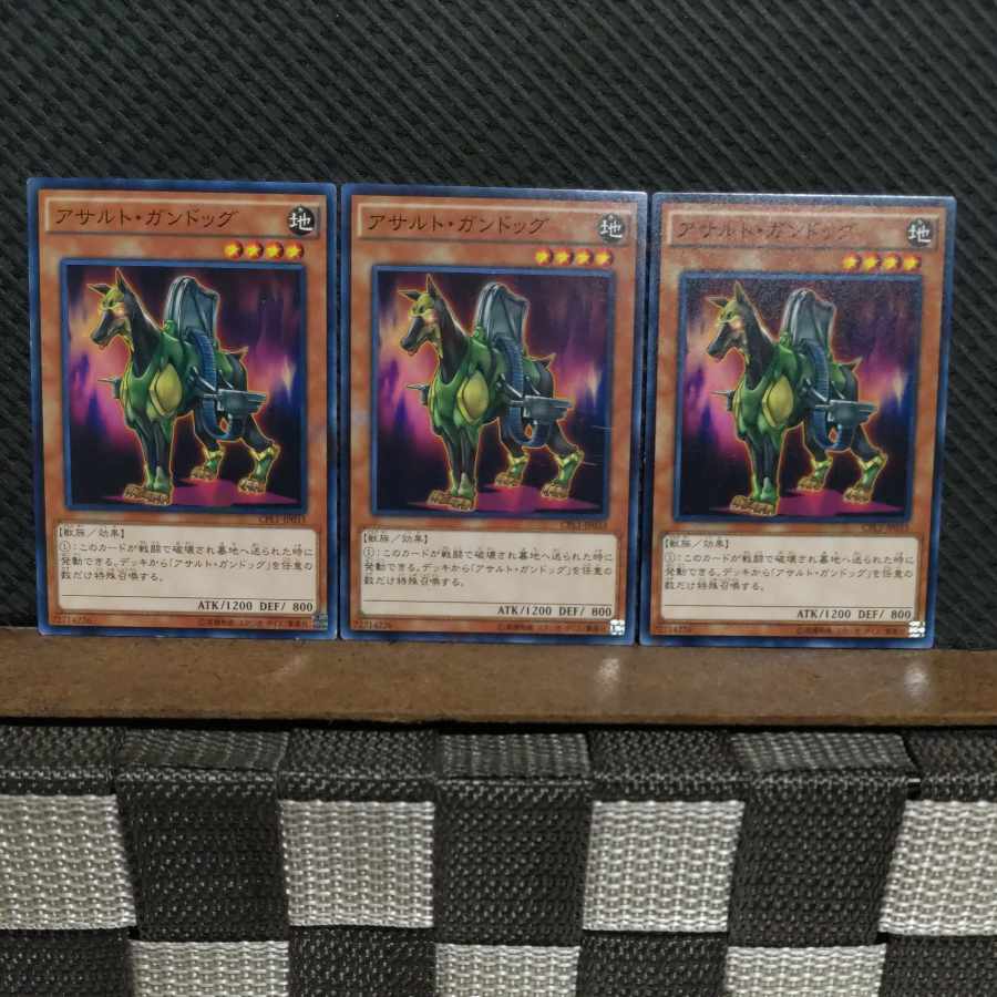 【ぽぽたん】遊戯王 10292 アサルト・ガンドッグ ノーマル 3枚