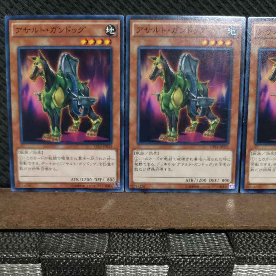 【ぽぽたん】遊戯王 10292 アサルト・ガンドッグ ノーマル 3枚