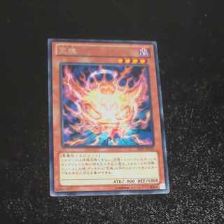 Aratama rare JP035 [Korindo