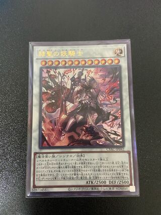 Huge Sacred Squirrel (Despian Llewari Squirrel) Ultimate Rare (Relief) JP042