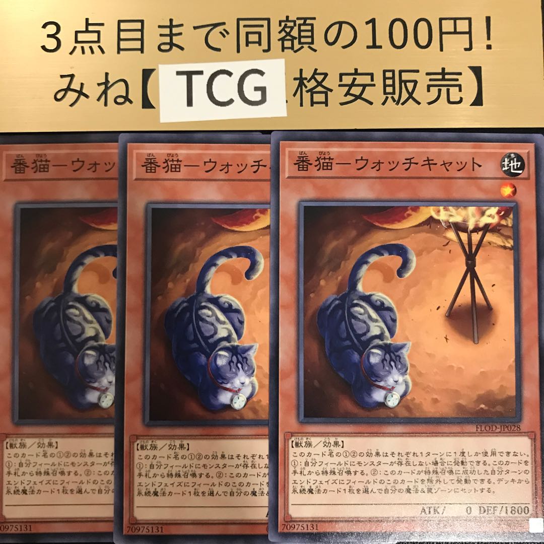 Watch cat - watch cat, normal FLOD-JP028