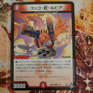 Cocco Bu Lupia R 19/74