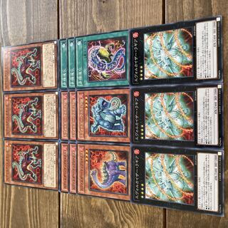 エヴォルドメガキレラ 多様進化 エヴォルカイザーラギア