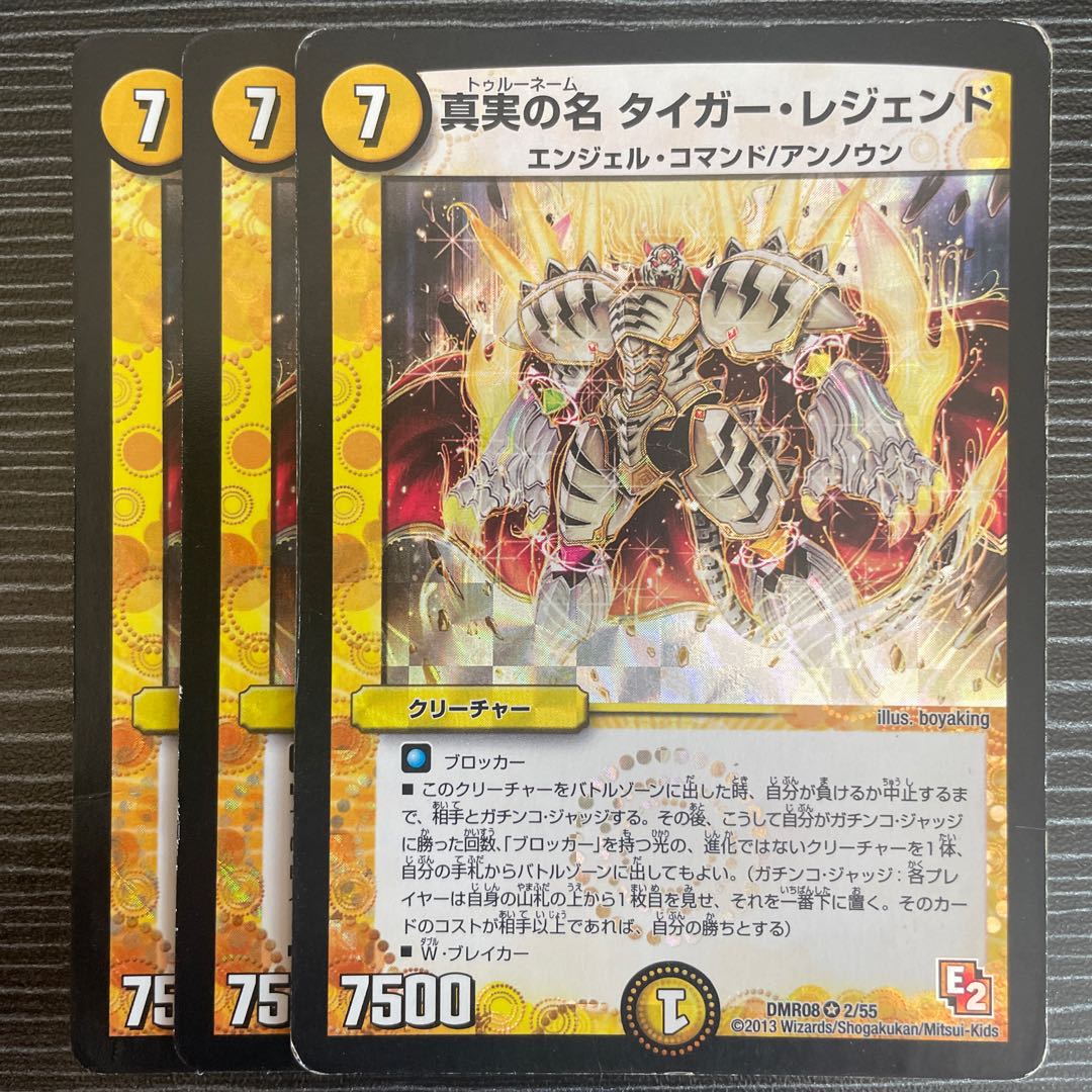 The True Name Tiger Legend VR 2/55