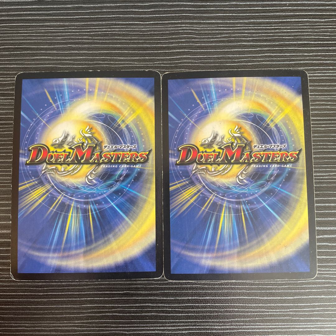 デュアルショック・ドラゴン SR S3/S5 1枚