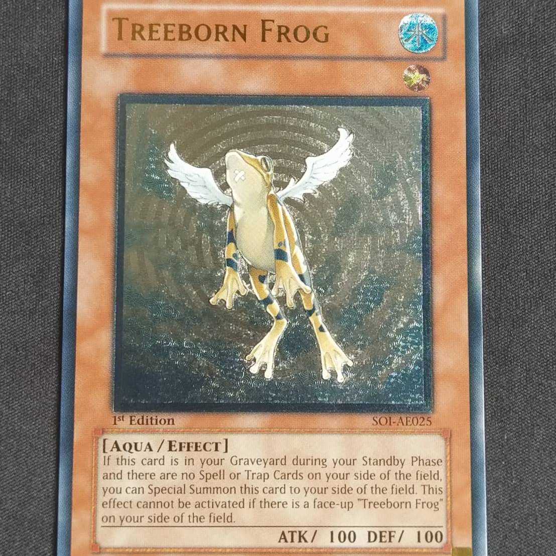 黄泉ガエル　旧アジア　レリーフ Treeborn Frog