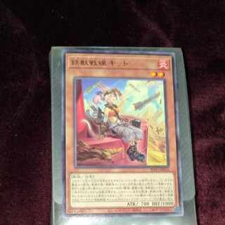 Iron and Beast Front Kit, letter rare