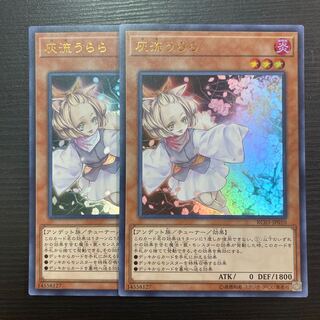 Ash Blossom & Joyous Spring, set of 2 RC03