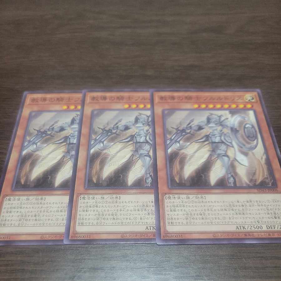 教導の騎士フルルドリス