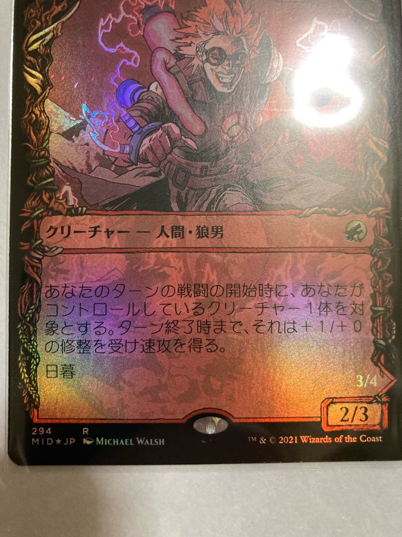 無謀な嵐探し　ショーケース　Foil