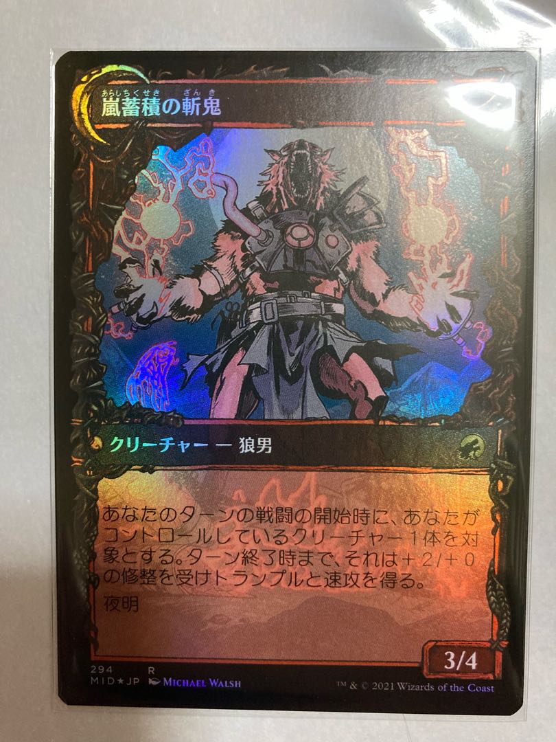 無謀な嵐探し　ショーケース　Foil