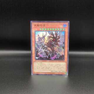 Lord of the Heavenly Prison Ultra Rare JP030