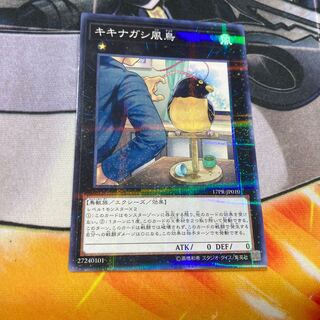 キキナガシ風鳥 パラレル ノーマル JP010