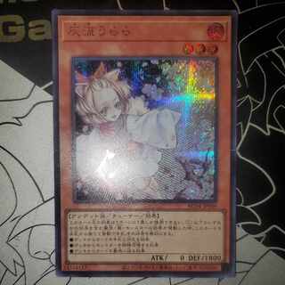 Ash Blossom & Joyous Spring Secret Rare Sikh Rare Collection Edition