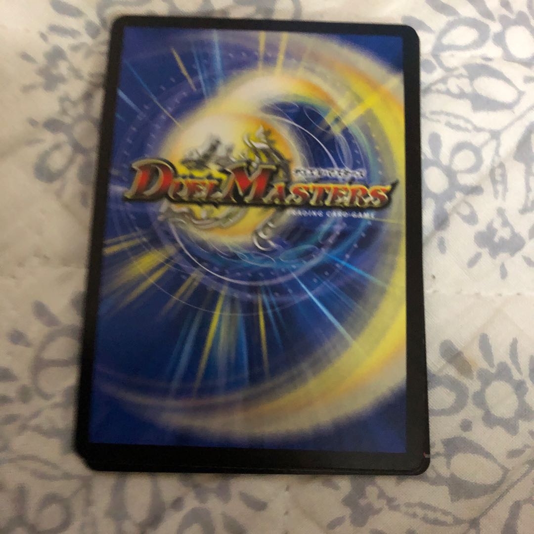 「絶対の楯騎士」