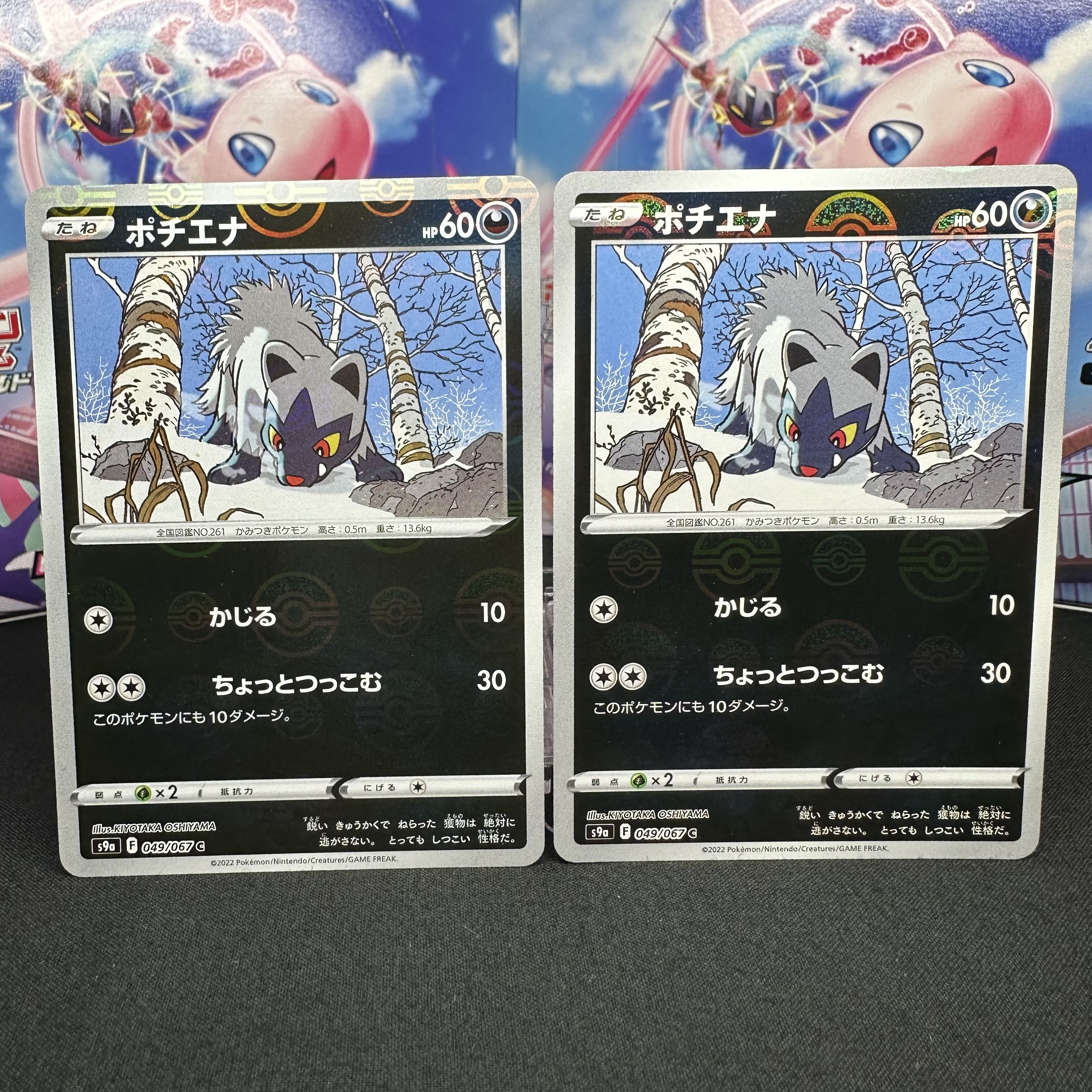 Poochyena (mirror) C 049/067