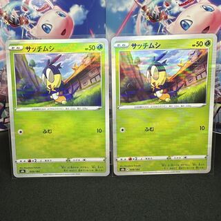 サッチムシ(キラ)