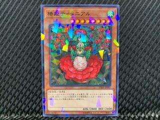 【アゴ之内】遊戯王 椿姫ティタニアル ノーパラ