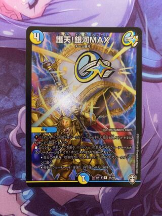 Proten! Ginga MAX R 24/95