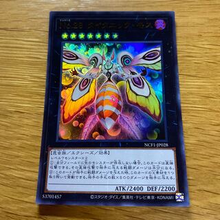 No.28 タイタニック・モス ウルトラ