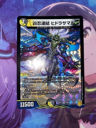 Wesen Ninja Consolidated Hydrasamal VR 7/95