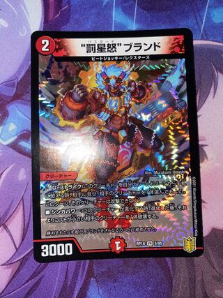 "Punishment Star Rage" brand VR 5/95