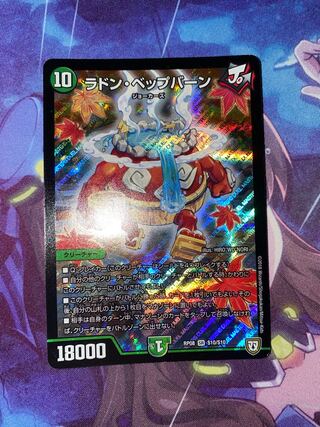 Radon Bepburn SR S10/S10 1枚