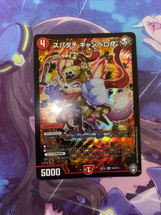 Spadati Canbero R SR S4/S11