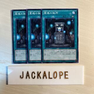 霊魂の拠所 $7304