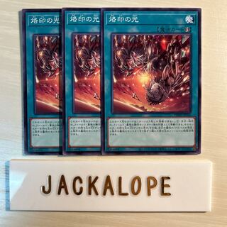 Light of Branding $7314