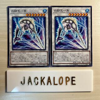 白闘気一角 ノーマル JP004 $7346