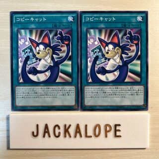 10819 コピーキャット ノーマル JP027