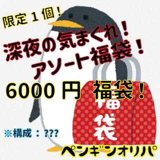 【限定1個】深夜の気まぐれ！アソート福袋！6000円福袋　ペンギンオリパ
