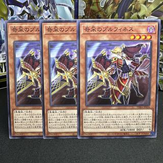 奇采のプルフィネス ノーマル JP024