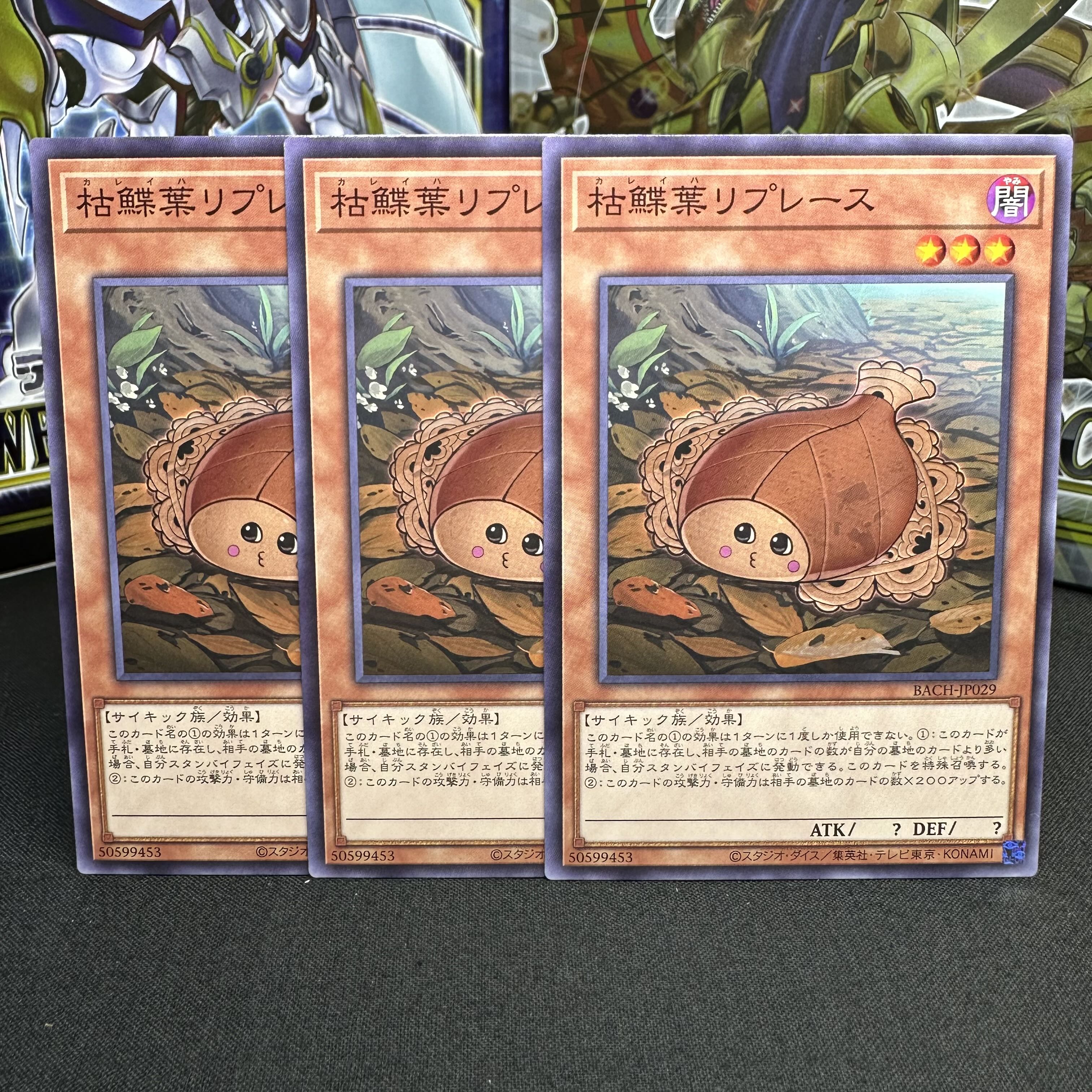 枯鰈葉リプレース ノーマル JP029