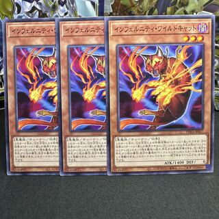 インフェルニティ・ワイルドキャット ノーマル JP017