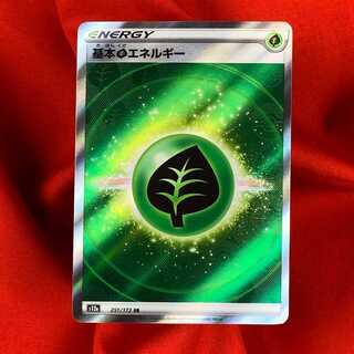 基本草エネルギー SR 251/172 基本エネルギー