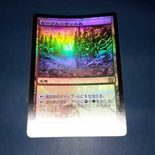 FOIL・カープルーザンの森
