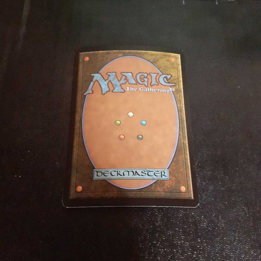 FOIL・カープルーザンの森